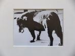 Daido Moriyama - Stray Dog, Antiek en Kunst