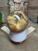 Kat Taxidermie volledige montage - Hauskatze Kitten Katze