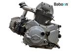 Moteur Ducati Monster 600 1994-2001 (M600), Motoren, Verzenden, Nieuw