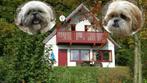 Hondenbungalow Duitsland - Omheinde tuin en honden gratis