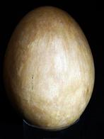 Olifantsvogel - Gefossiliseerd ei - Aepyornis maximus,, Verzamelen