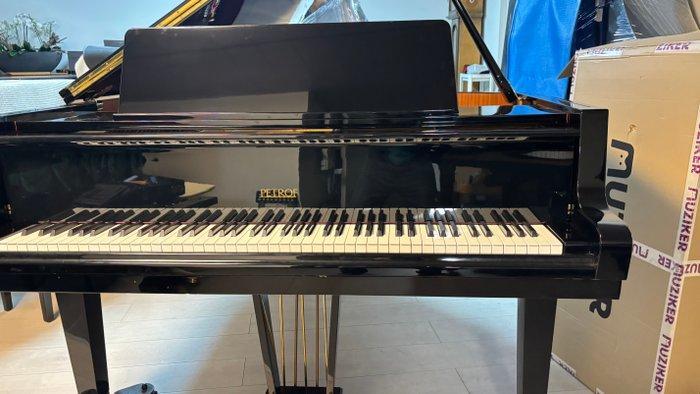 Petrof - Model 3 - - Vleugel - Tsjechië - 1988, Muziek en Instrumenten, Blaasinstrumenten | Blokfluiten