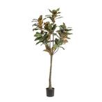Kunstplant - 150 cm - Magnolia Grandiflora