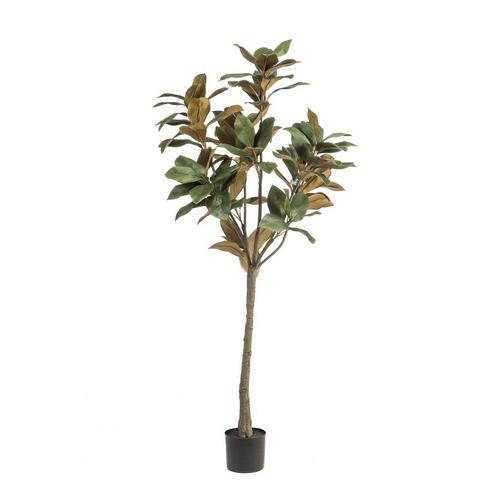 Kunstplant - 150 cm - Magnolia Grandiflora, Huis en Inrichting, Woonaccessoires | Kunstplanten en Kunstbloemen