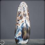 Natuurlijk Orca-Agaat Buitengewone verzamelaar-vrijvorm met