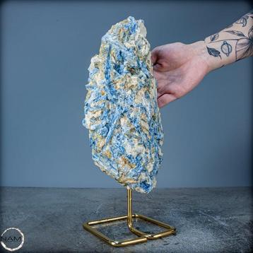 Zeer zeldzame natuurlijke kyanite kristalcluster op stand-