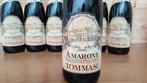 2018 Tommasi - Amarone della Valpolicella - 6 Bouteilles, Nieuw
