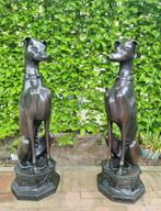 sculptuur, Luxury Greyhounds - entrance - 75 cm - Brons