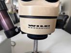 Microscope - 2000-2010 - Wild Heerbrugg