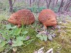 Beeld, set of 2 metal hedgehogs - 8 cm - Gietijzer