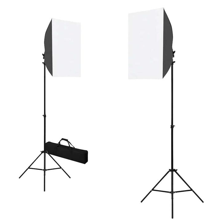 vidaXL Professionele studiolampen 2 st 40x60 cm staal zwart, Audio, Tv en Foto, Fotografie | Fotostudio en Toebehoren, Nieuw, Verzenden