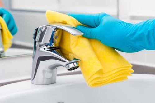 Probiotische Sanitair Reiniger 500 ml, Huis en Inrichting, Schoonmaakartikelen, Ophalen of Verzenden