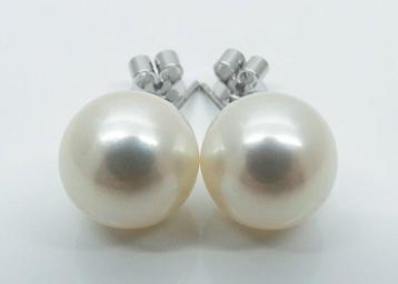 Boucles doreilles cloutées - 14 carats Or blanc Perle - Mer