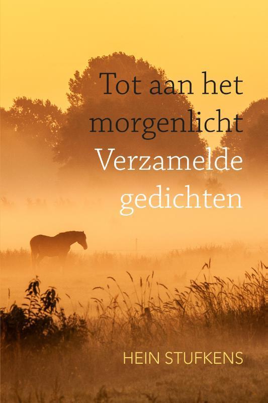 Tot aan het morgenlicht 9789493300057 Hein Stufkens, Boeken, Esoterie en Spiritualiteit, Zo goed als nieuw, Verzenden