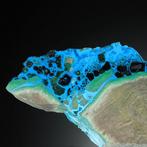 690g CHRYSOCOLLA met QUARTZ, MALACHITE & Cuprite uit het, Collections, Minéraux & Fossiles