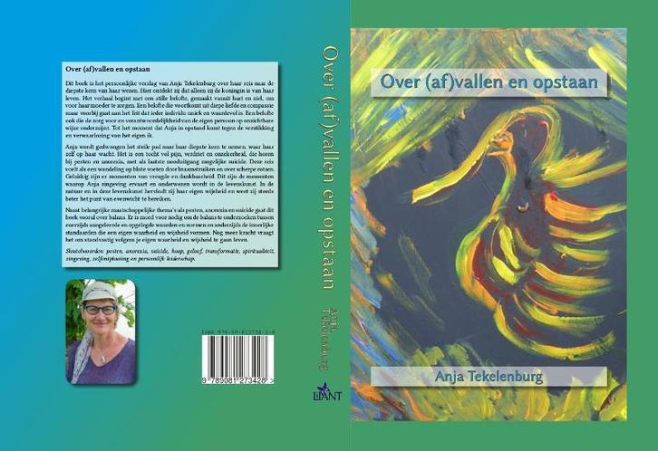Over (af)vallen en opstaan 9789081273428 Anja Tekelenburg, Boeken, Psychologie, Gelezen, Verzenden