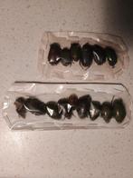 Insekt Taxidermie volledige montage - Different names - 1 cm