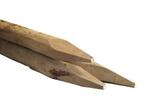Robinia ronde paal 6-8 cm 160cm (Houten palen)