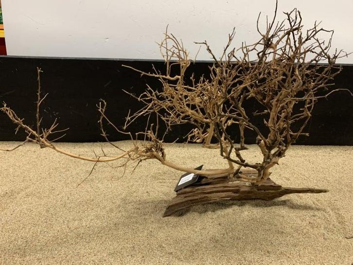 Osaka Bonsai Tree nr 21 - 56x19x42cm - aquascaping boom, Dieren en Toebehoren, Vissen | Aquaria en Toebehoren, Plant(en), Steen of Hout