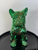 Rob VanMore - VANMORE Poisonous Dog