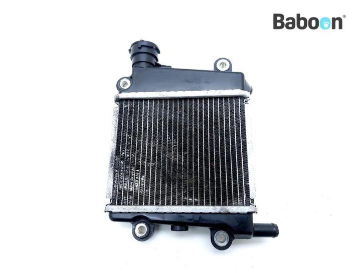 Radiateur Yamaha NMAX 125 2021 (BAL), Motoren, Onderdelen | Yamaha, Gebruikt, Verzenden
