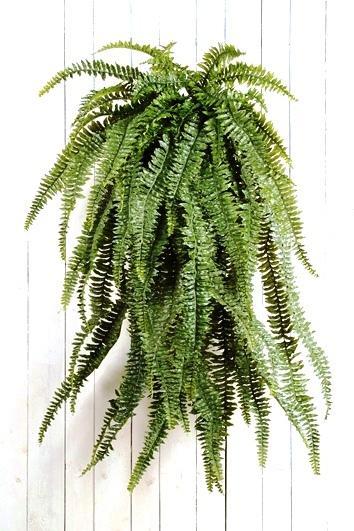 Kunstplant Varen Groot 150 cm, Maison & Meubles, Plantes d'intérieur, Envoi
