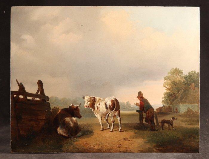 Houtman (XIX) - Landschap met koeien, Antiek en Kunst, Kunst | Schilderijen | Klassiek