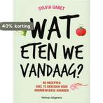 Wat eten we vandaag? 9789048307272 Sylvia Gabet, Boeken, Verzenden, Zo goed als nieuw, Sylvia Gabet