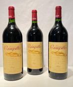 1995 Campillo - Rioja Reserva - 3 Magnums (1.5L), Nieuw