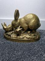Figurine - Konijnen beeld brons - Bronze, Cuivre