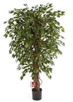 Kunstplant Ficus Hawaiian 150 cm, Verzenden