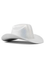 Cowboyhoed Strepen Zilver Zilveren Gestreepte Cowboy Western, Kleding | Dames, Ophalen of Verzenden, Nieuw