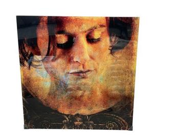 Veiling - Vrouw Plexiglas Cobra art