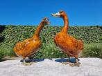 sculptuur, Duck Couple - 43 cm - Brons