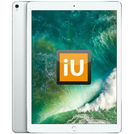 iPad Pro 12.9 inch (2017)  refurbished met 2 jr. garantie, Computers en Software, Apple iPads, Wi-Fi, Zilver, Zo goed als nieuw