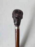 Hond - Gedetailleerde Wandelstok - Hout - Ca. 1900