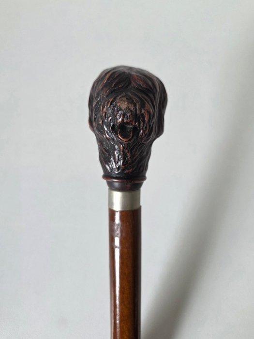 Hond - Gedetailleerde Wandelstok - Hout - Ca. 1900, Antiek en Kunst, Antiek | Overige Antiek