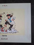 Tintin - 1 Lithographie Tintin - Le Trésor de Rackham le