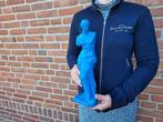 Richard Orlinski (1966) - Venus di Milo + Box, Antiek en Kunst, Kunst | Schilderijen | Modern