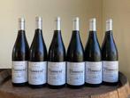 2010 Pommard. Jean-Claude Guyaux - Bourgogne - 6 Flessen, Collections, Vins