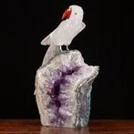 Verzameling Vogels: Gevederde Pracht Taxidermie volledige