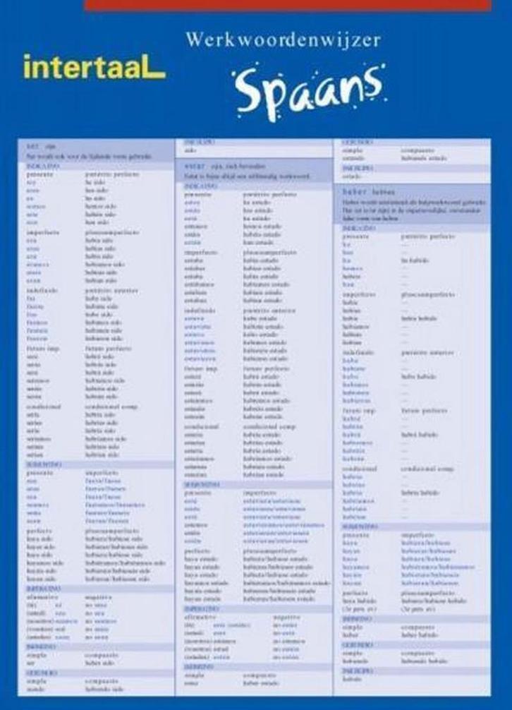 Werkwoordenwijzer Spaans 9789054516859 Y. Madarnas Acena, Boeken, Schoolboeken, Zo goed als nieuw, Verzenden