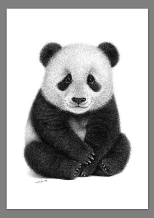Schu - Panda Cub, Antiek en Kunst, Kunst | Designobjecten