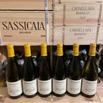 2024 Antinori, Tormaresca Pietrabianca Castel del Monte -, Nieuw