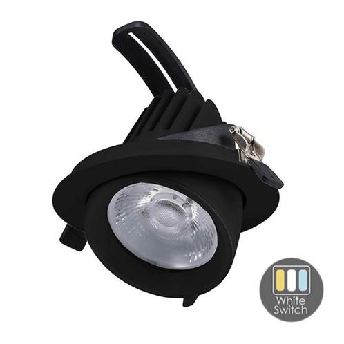 LED Downlighter White-Switch 30W Zwart, Maison & Meubles, Lampes | Autre, Envoi