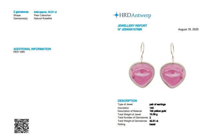 Hangoorbellen - 14 karaat Geel goud - 42.51ct. tw., Handtassen en Accessoires, Antieke sieraden