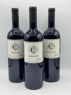 2017 Copel Wines - Ribera del Duero - 3 Flessen (0.75 liter), Collections, Vins