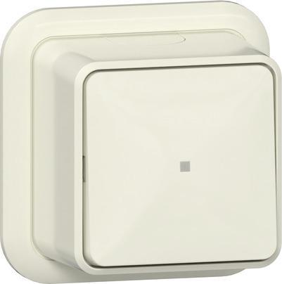 Gira Opbouw Drukknop Schakelaar Met Controlevenster - 315210, Doe-het-zelf en Bouw, Elektriciteit en Kabels, Verzenden
