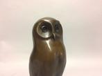 Sculpture, The young owl - 28 cm - Bronze, Antiek en Kunst