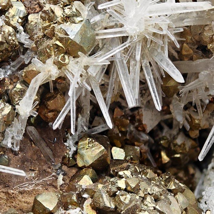 PIRITE DORATA met AGHIFORME QUARZO, Alpino, ITALIË, Collections, Minéraux & Fossiles